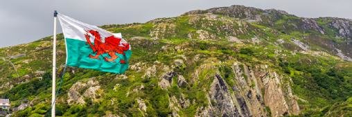 Connectus continues M&A strategy with i7 Technologies